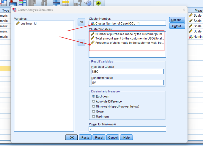 Silhouette cluster analysis in spss explained performing repor